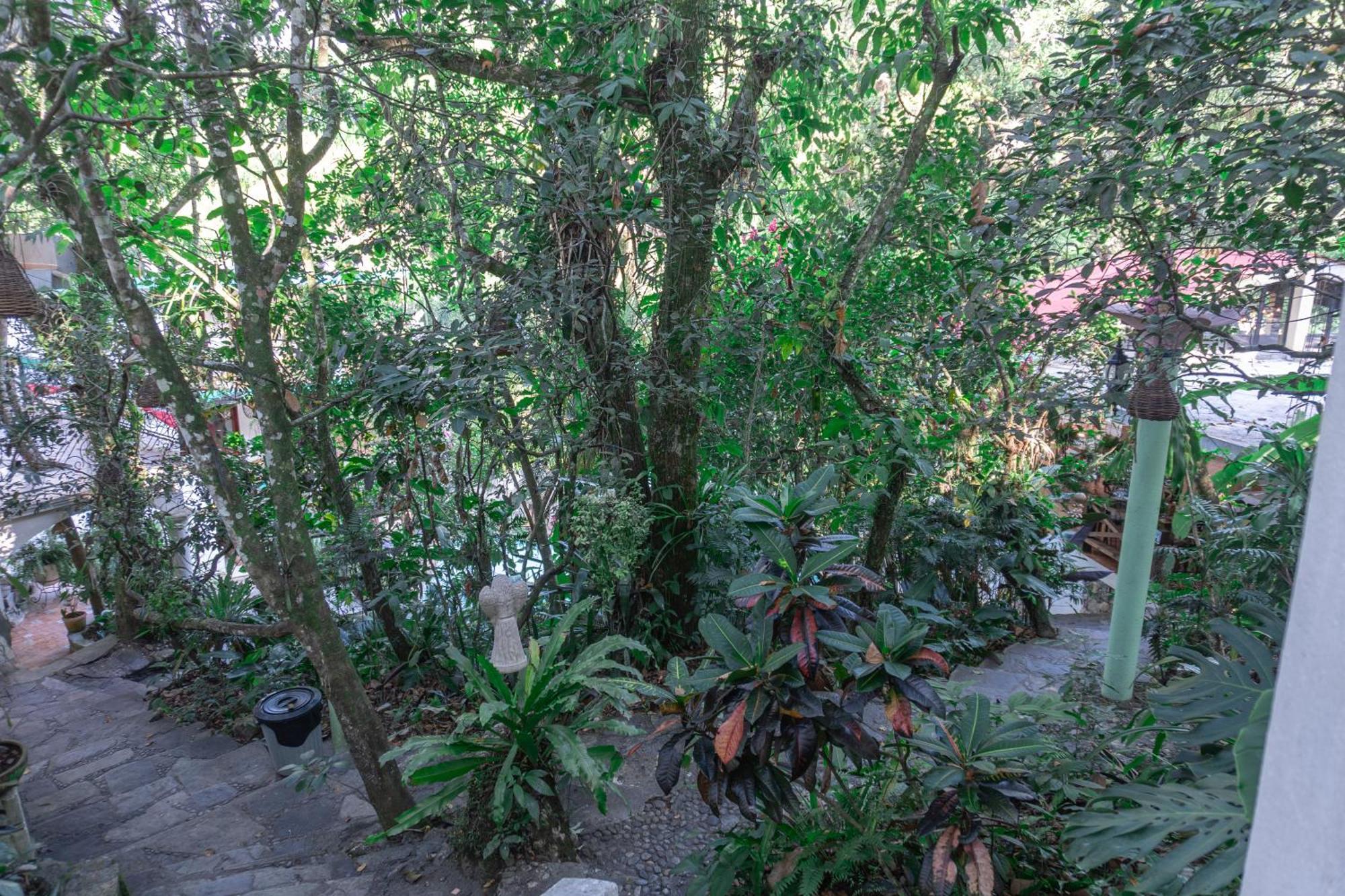 Hotel Paraiso Encantado Xilitla Buitenkant foto